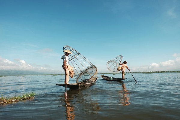 What best practices can UK anglers adopt to minimize harm to fish populations?